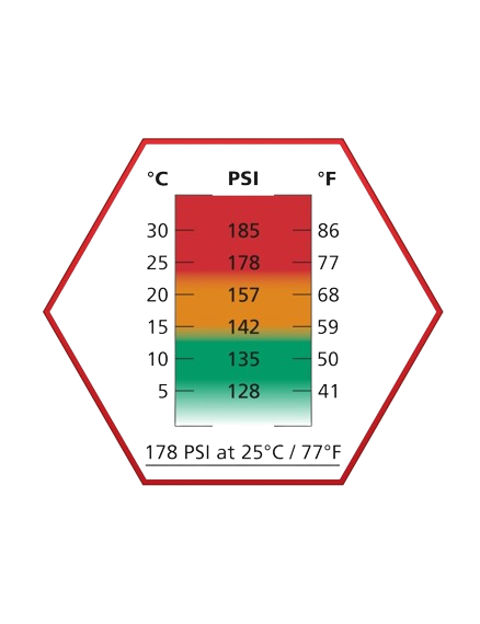 ASG ULTRAIR POWER RED GAS W/ SILICONE (570 mL / 178 PSI)